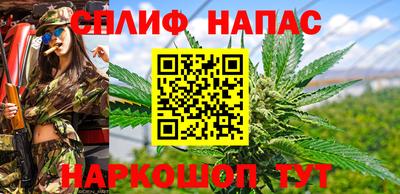 кокс Шебекино