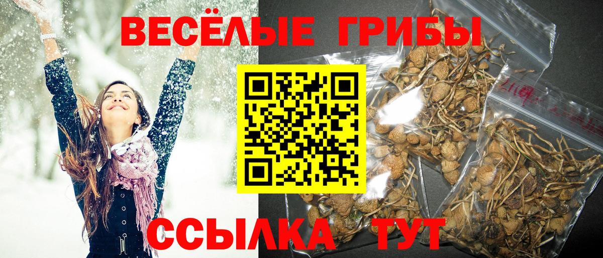 Псилоцибиновые грибы GOLDEN TEACHER Ярославль
