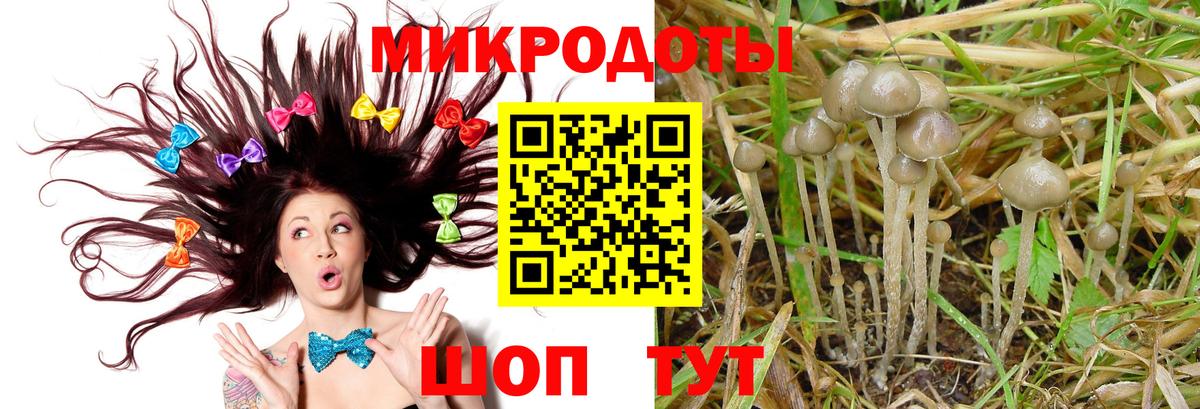 Галлюциногенные грибы мухоморы  Вход с VPN  Ярославль 